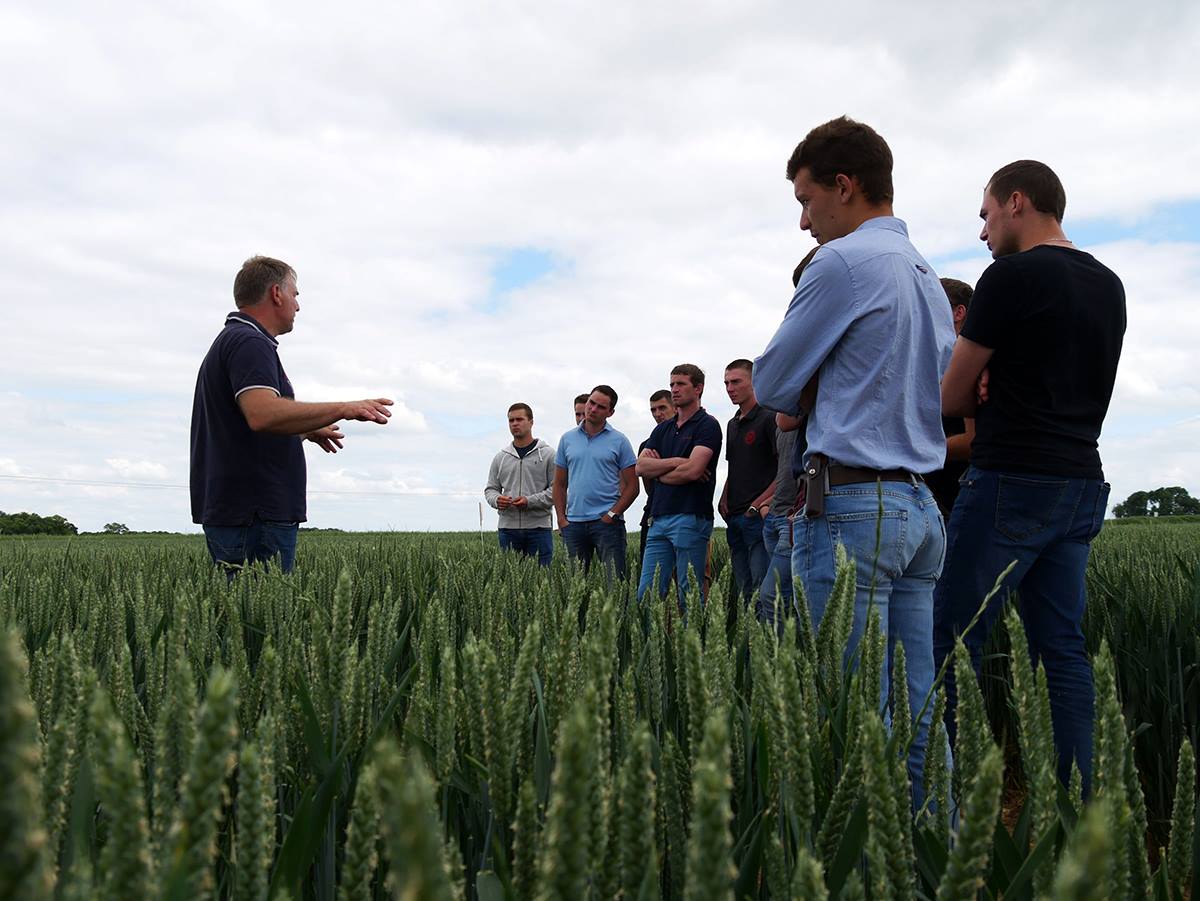 [DOC] Productions vegetales pratiques agricoles et